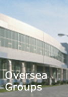 Oversea Groups