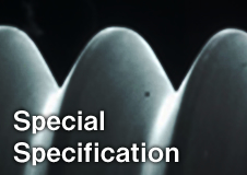 Special Specification